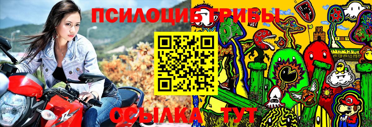 Владивосток  Галлюциногенные грибы GOLDEN TEACHER  Вход с VPN 